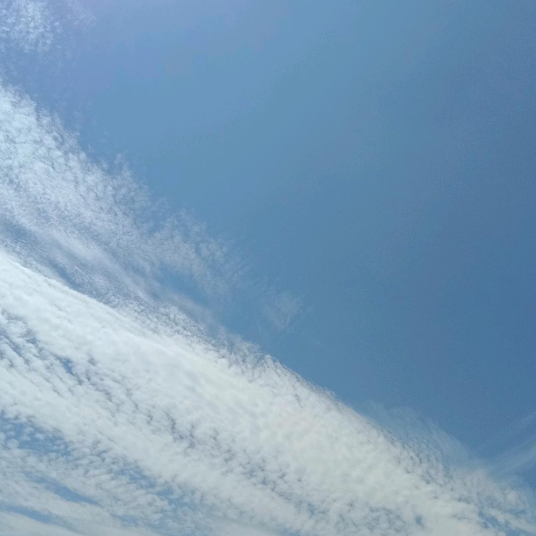 無木太行