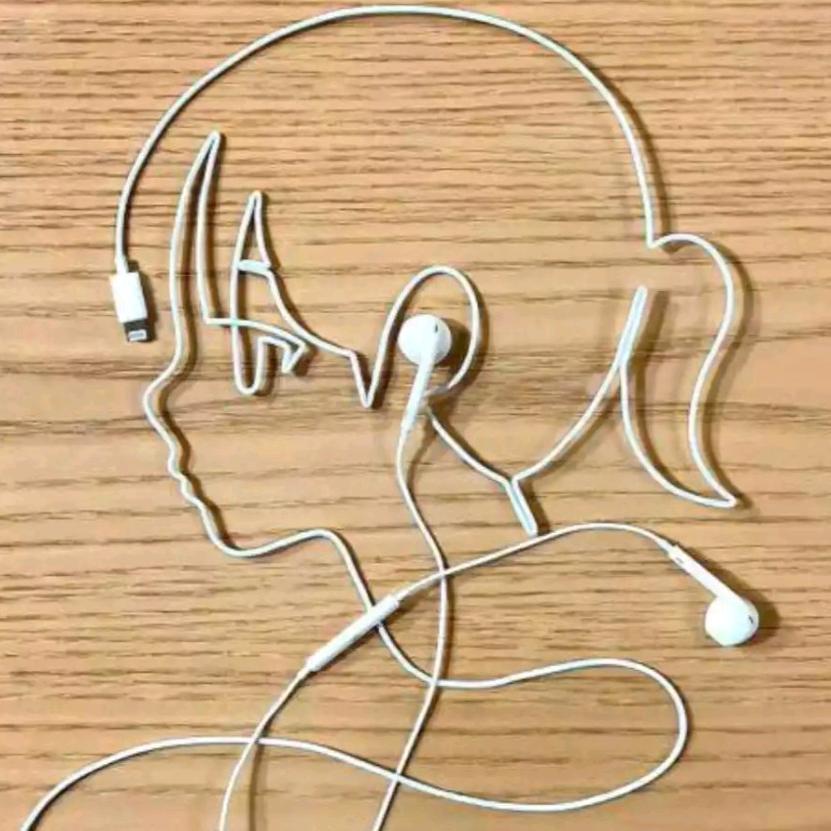 追随の忆