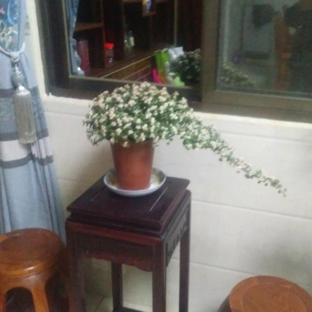 聚美士