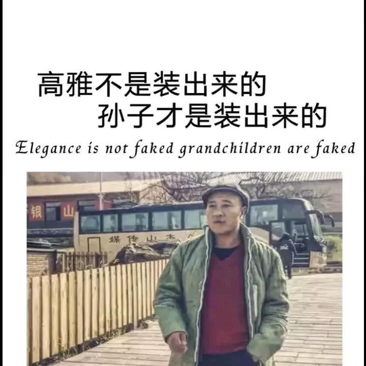 乐涛