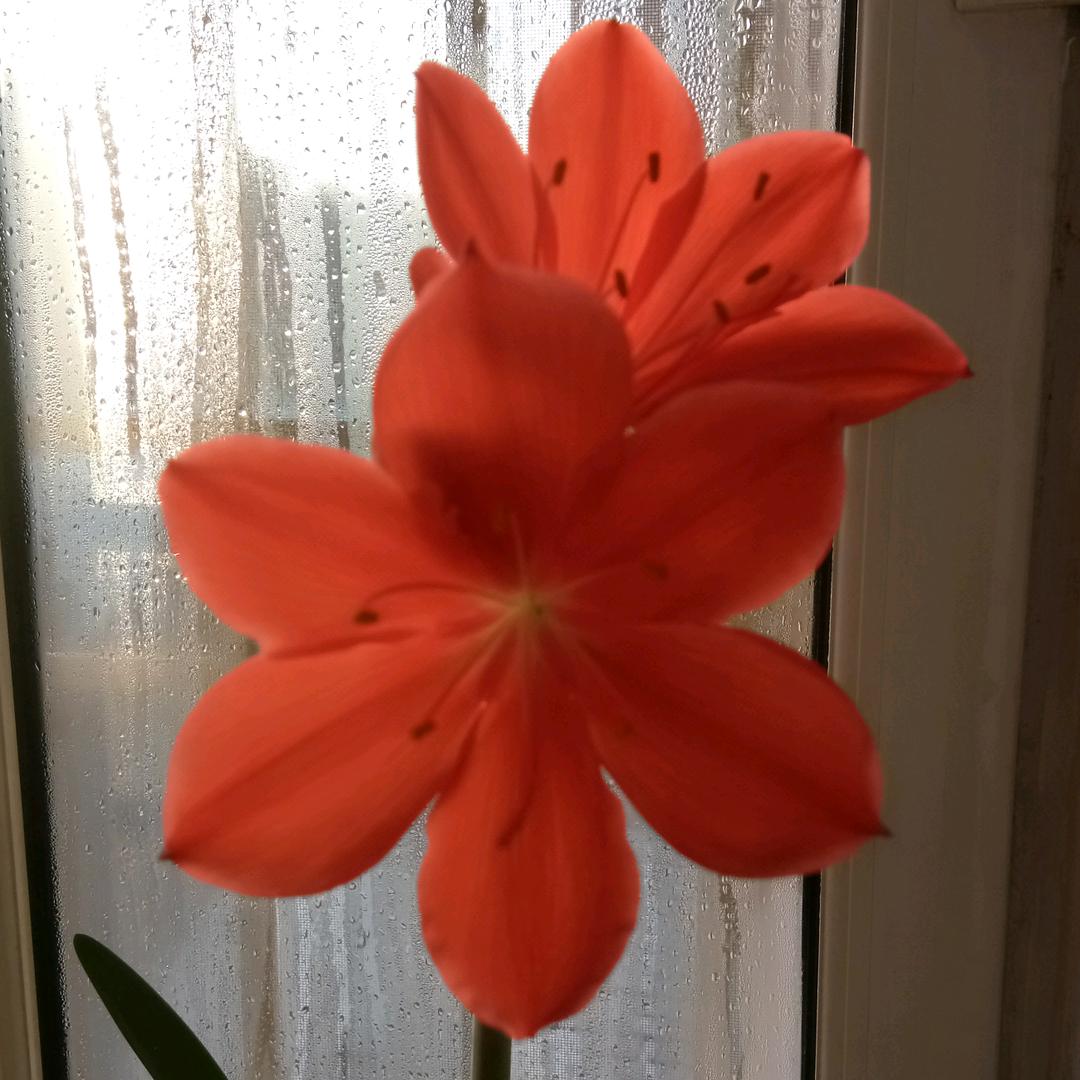 宝贝