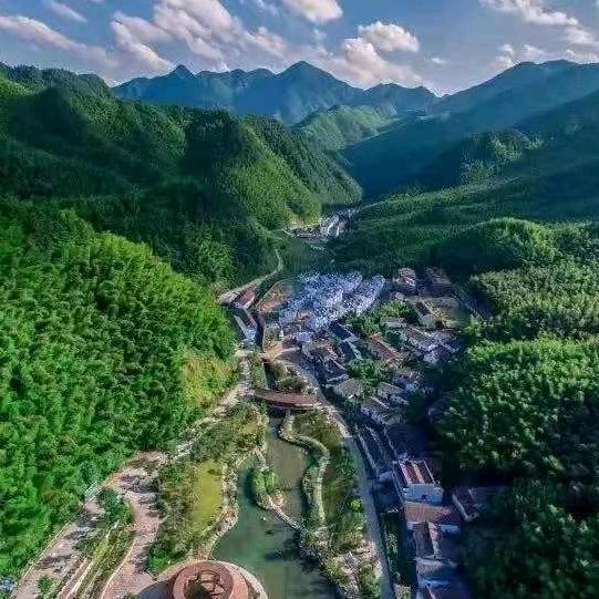 大树（王）