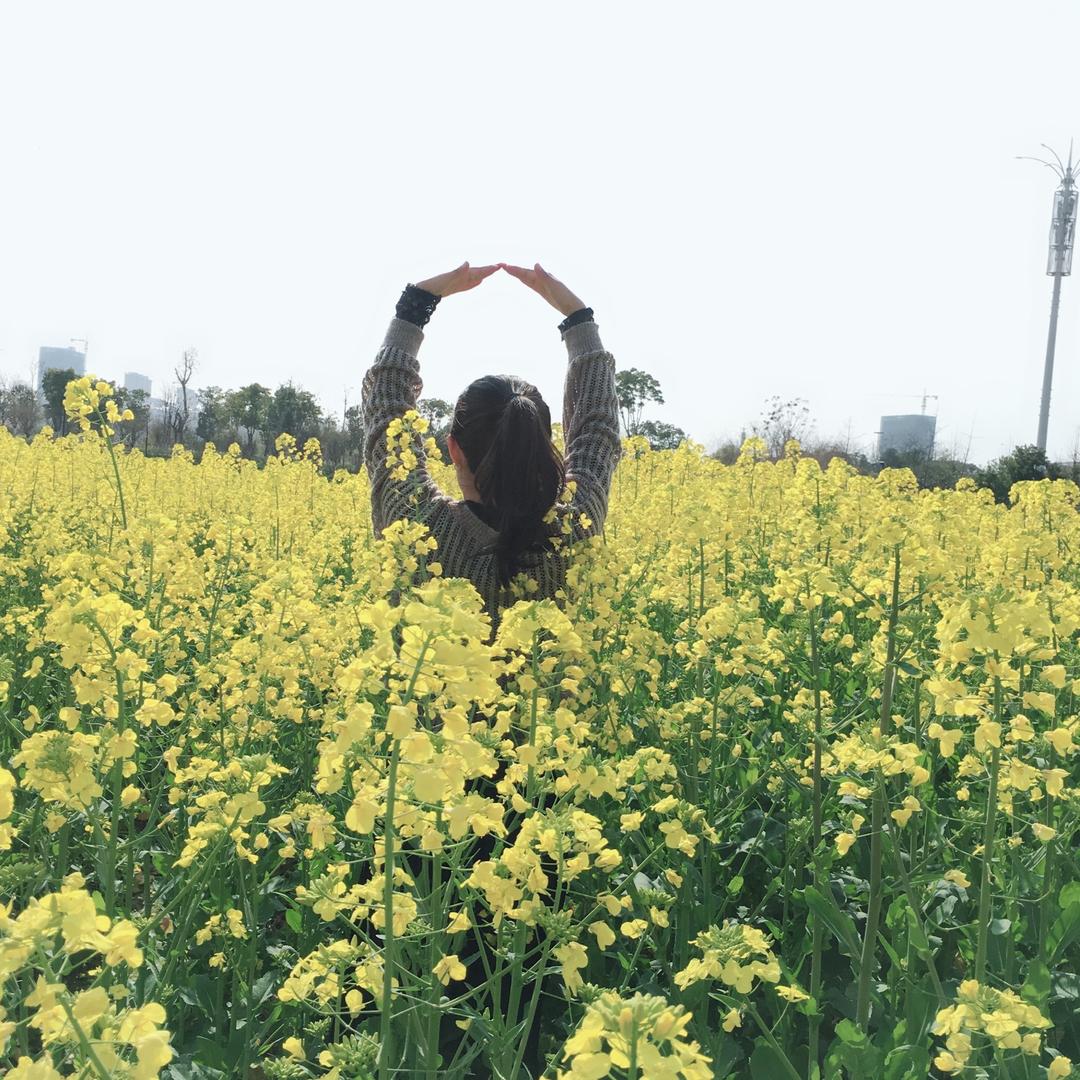 🌸洋洋🌸