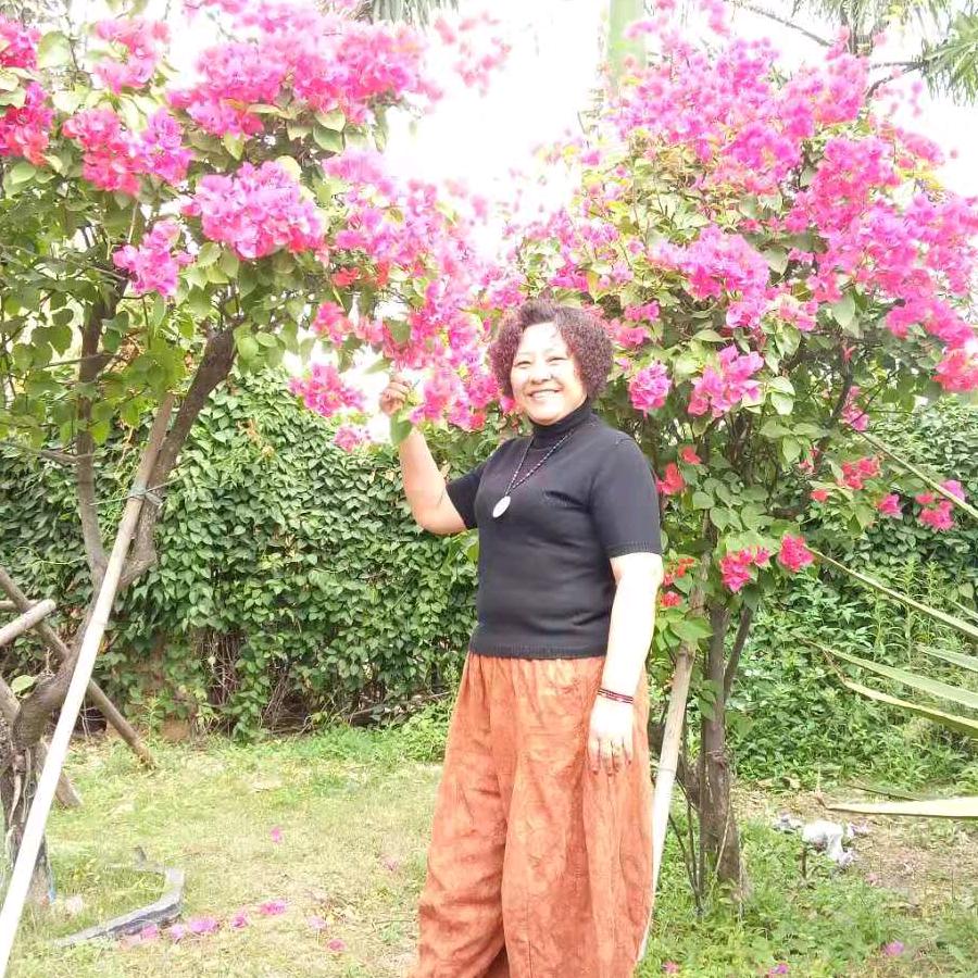 萍姐