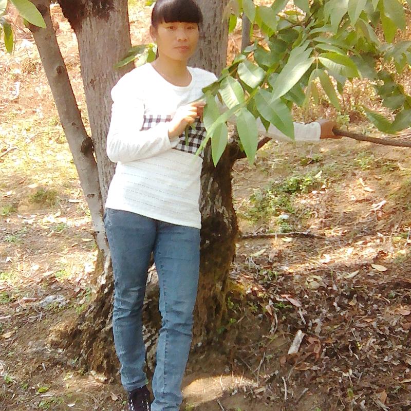 临沧十三妹