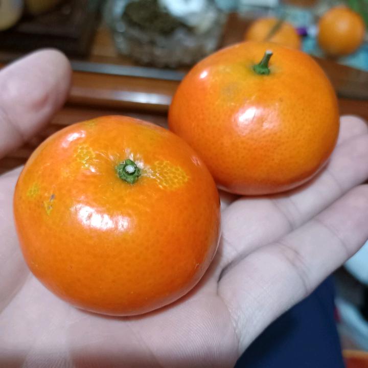 艾