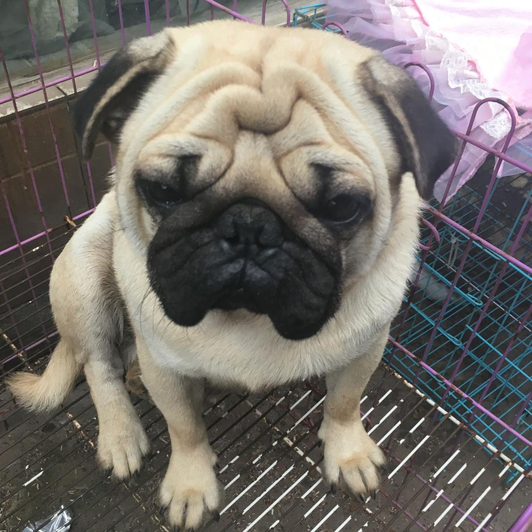 起个名字好难🤯