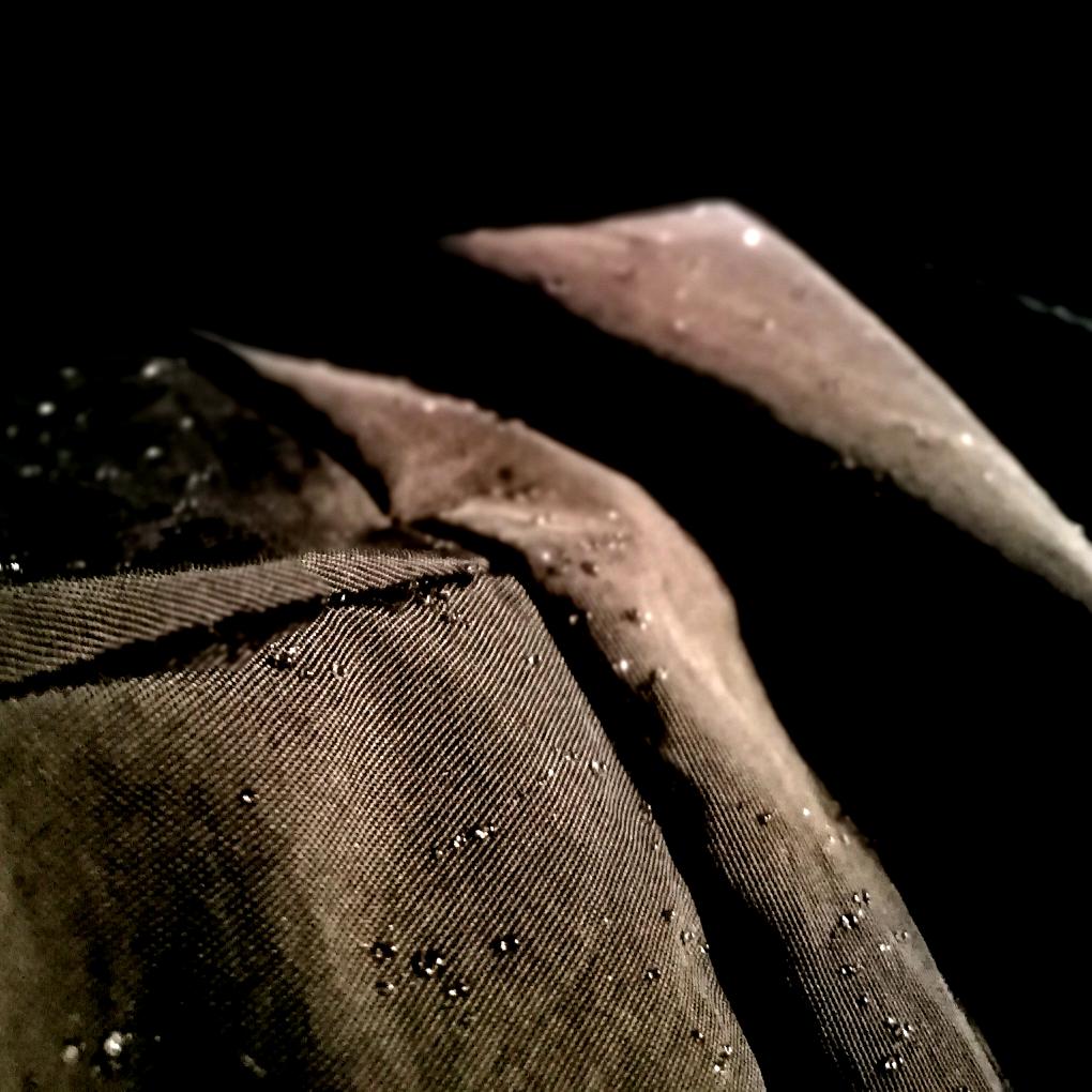 COWBOY BEBOP＼（〇_ｏ）／