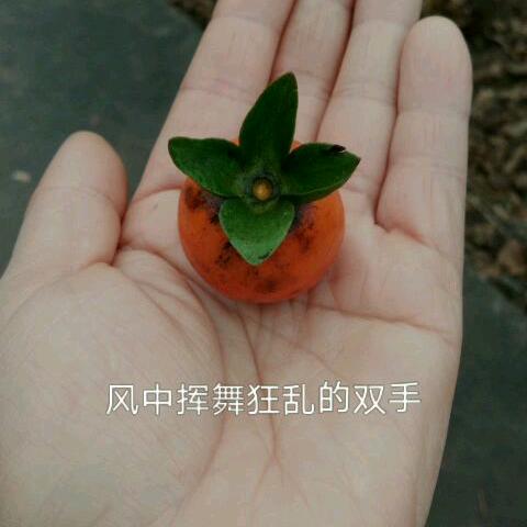 四季亦安然