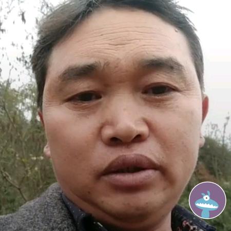 单身