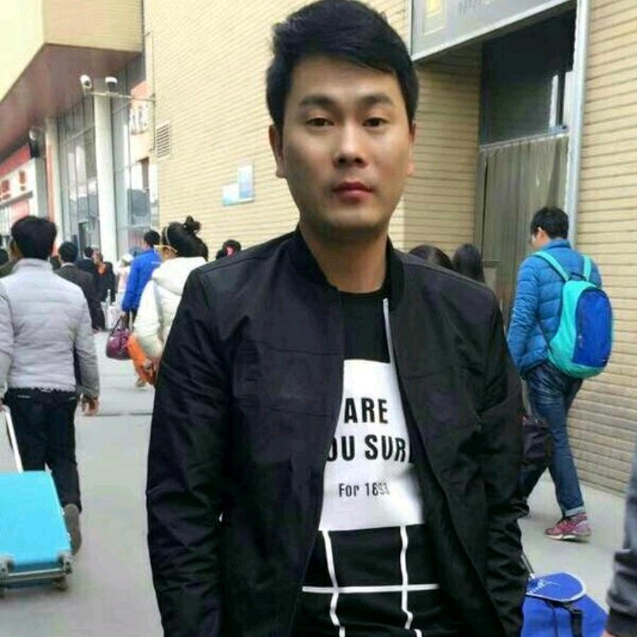迷鸟归林