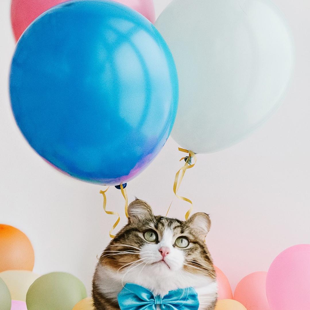 合江新公路电信