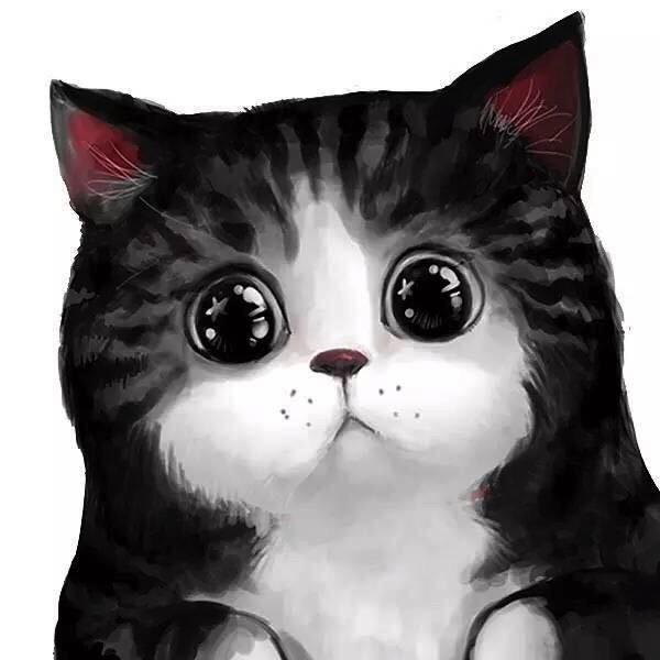 极智网络科技生活坊