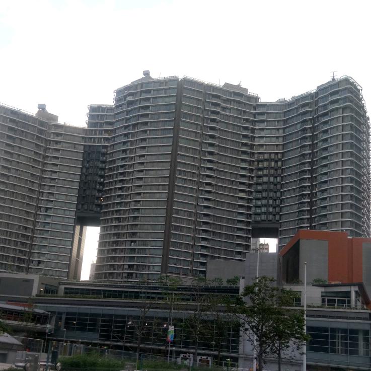 雁南飞