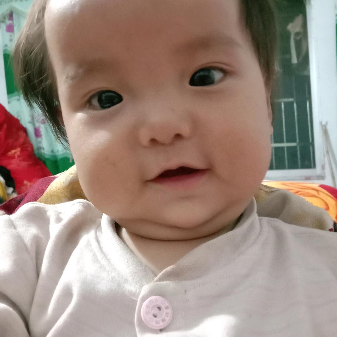 段传林