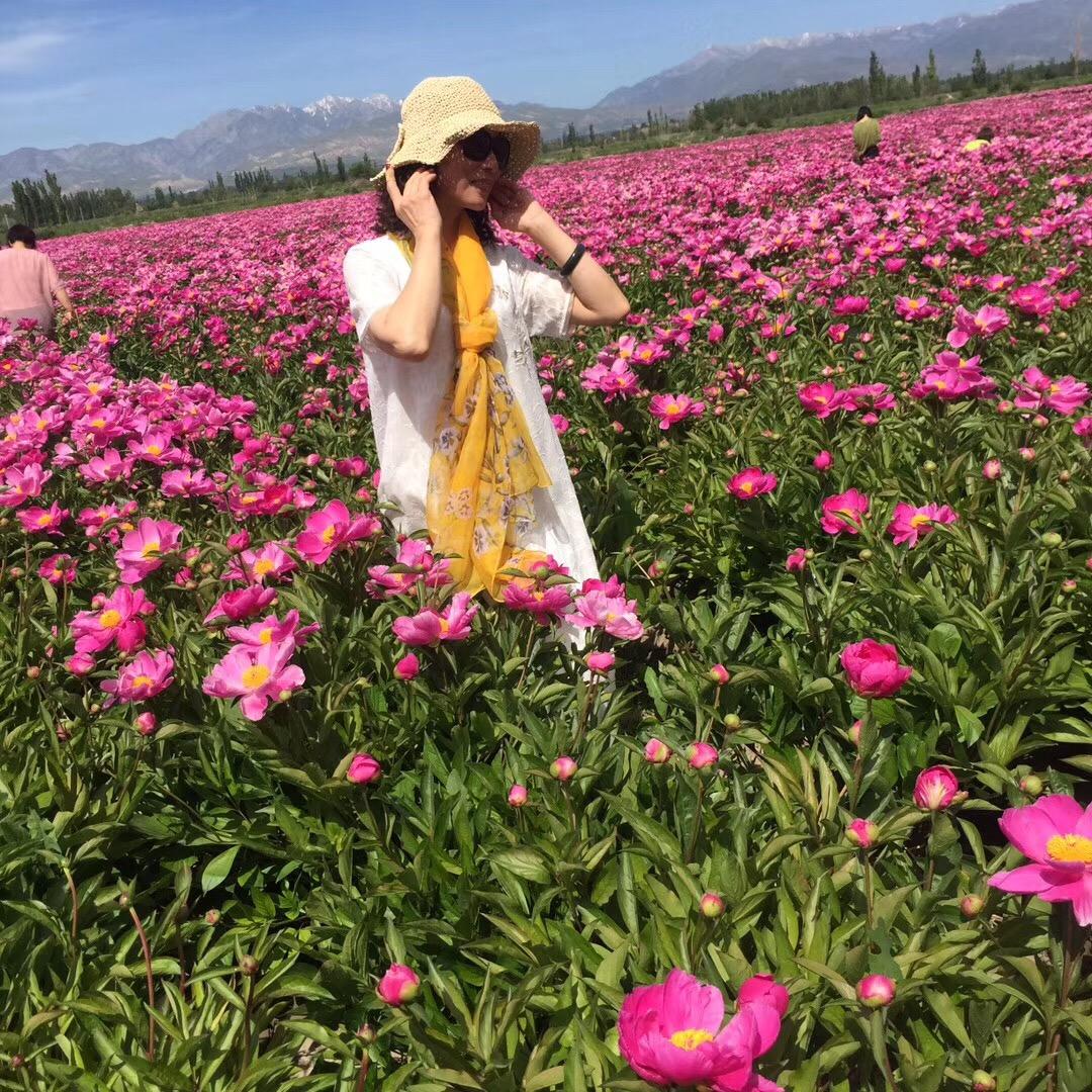 吴光华