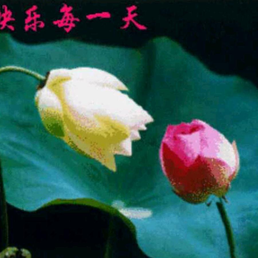 我的快乐就是想你