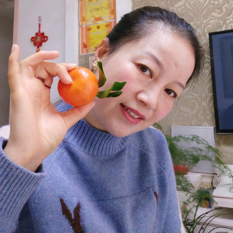 北雁南飞