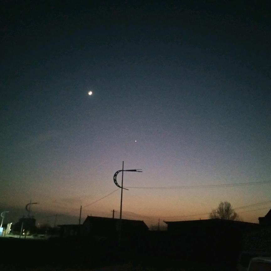 事与愿违