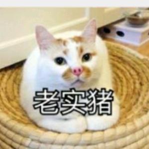 聊不完的曾经か