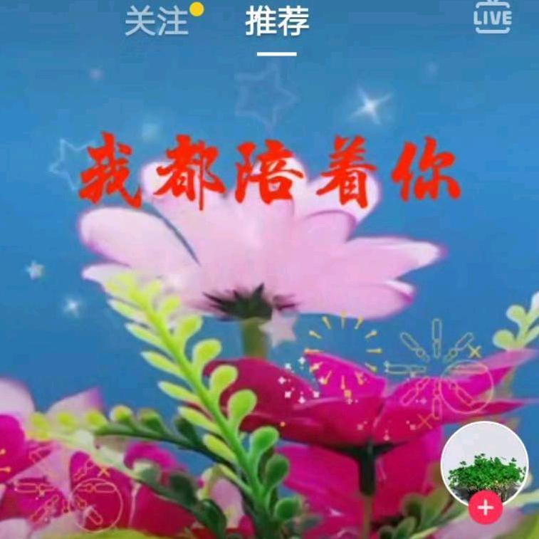 韩梅