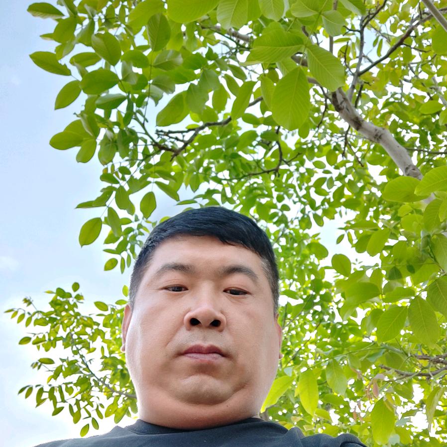 豫见晋