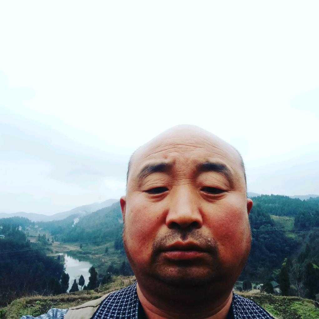 茂福