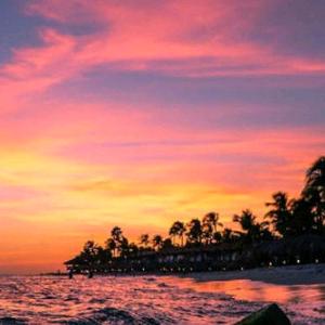 用户1495093661589夕阳红