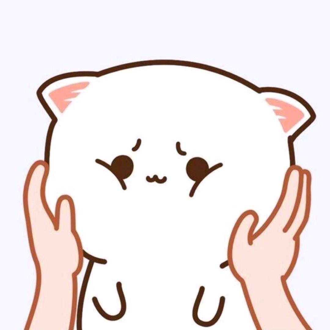 云诺依