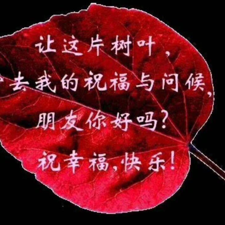 郄静