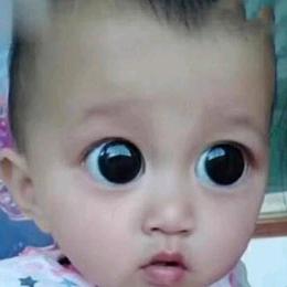 这条街这条街最靓的仔