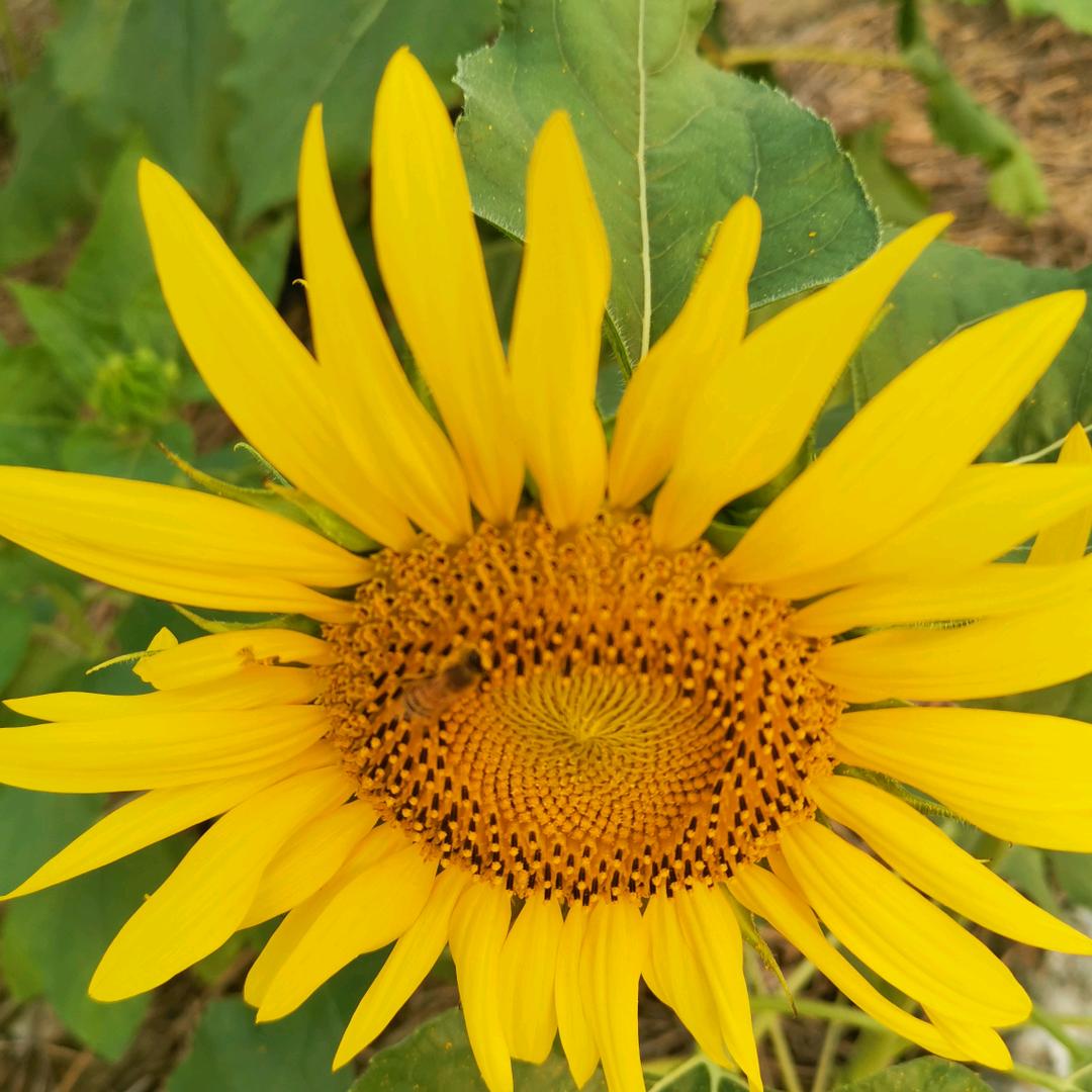 好运来😎😎😎