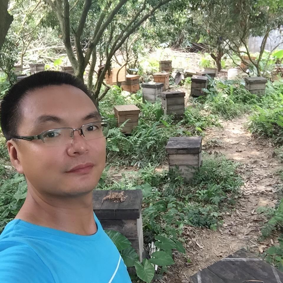 夏双-继箱养中蜂