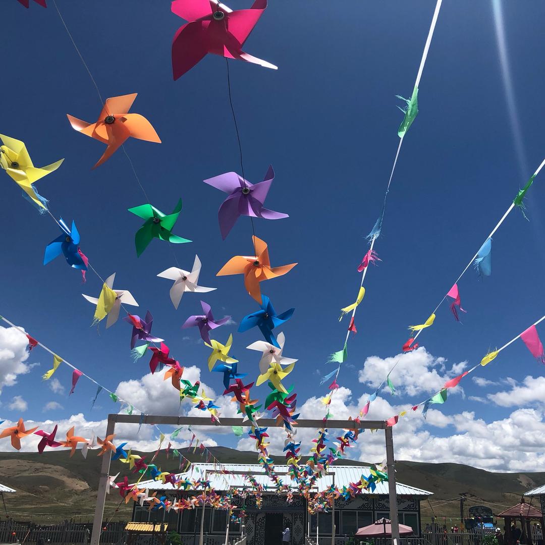 趁着年轻赶快浪