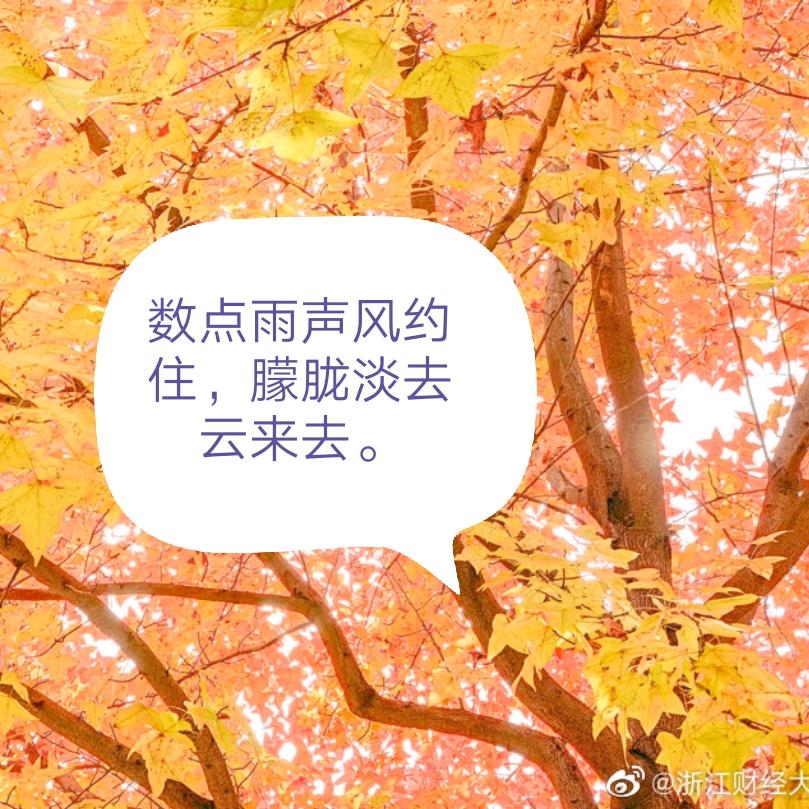 星星夏