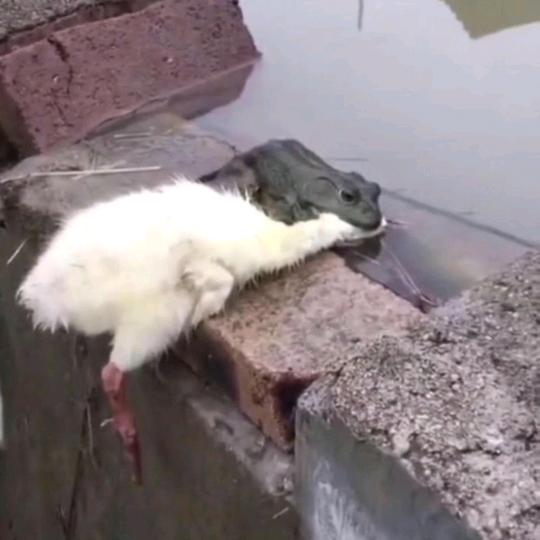 人生苦短，何不淡然