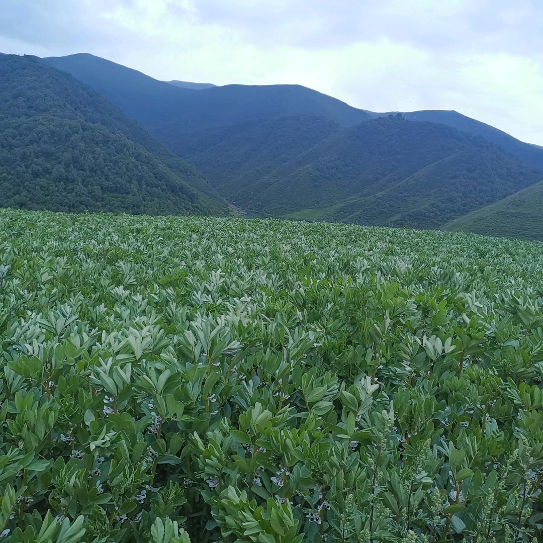 用户海阔天空5465288658752