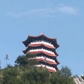 鲁山联众职业培训程教练