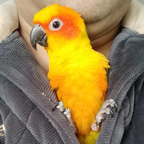 徐州门窗隔热条张