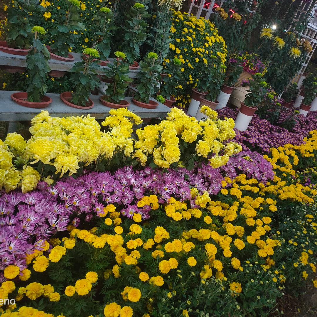 花