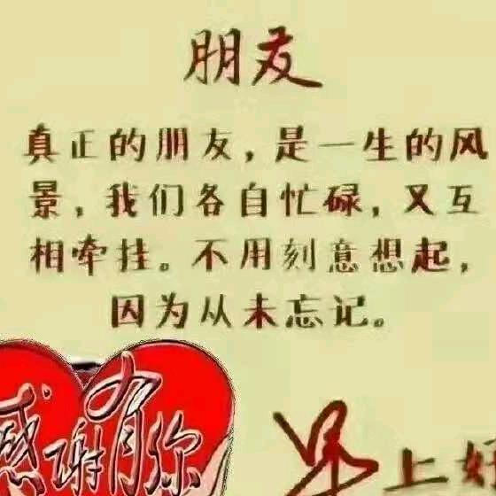 &风中百合&