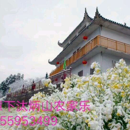 石潭桃花山庄炳山农家