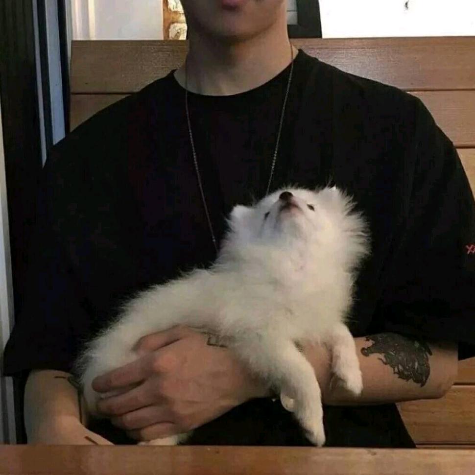 北有枯藤