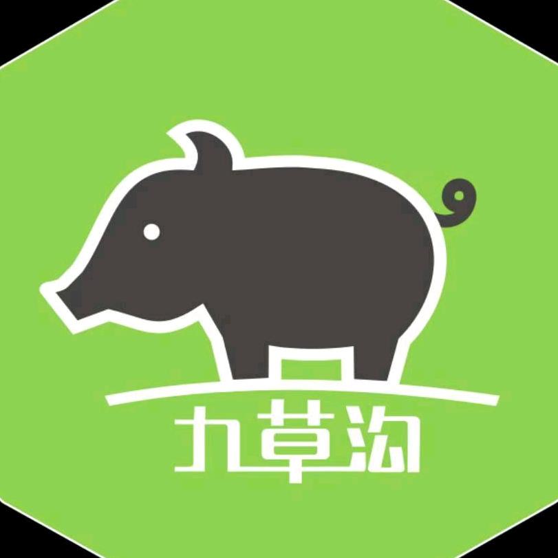 延安黄龙森林黑猪
