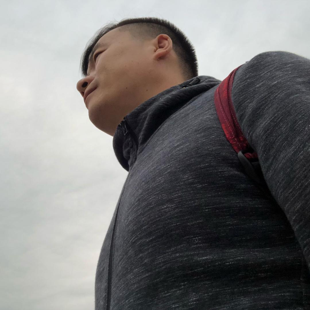 奔跑中的猎豹