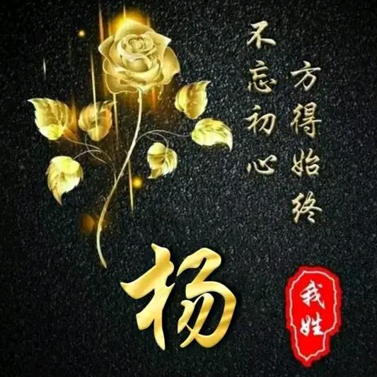 Mr.杨