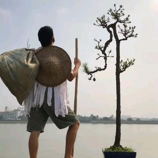 越简单越快乐
