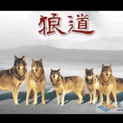 和气生财君