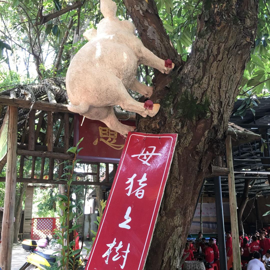 胡巴～胡巴