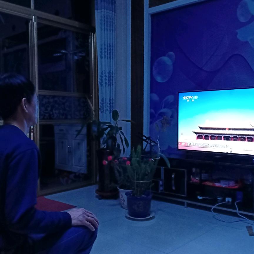 铁沙掌